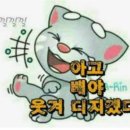 바보들의행진 이미지