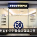 부평삼산마취통증의학과의원 네이버블로그