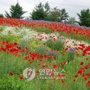 한경대학교부속농장 이미지