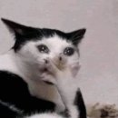 야키좁 네이버블로그