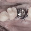 365드림치과병원 이미지