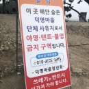 신원면-38 | (경남고성) 캠핑 박지추천/영동둔치공원
