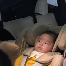 몽하우스 | 운정 사진관 꿀떡이 백일 크리스마스 촬영 후기 내돈내산 몽하우스 스튜디오