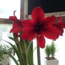 최재영한의원 이미지