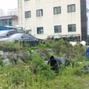 거제대로(아주동) 이미지