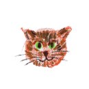 범천1동 주민센터 이미지