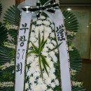김성대 (백모상) 보좌대상 이미지