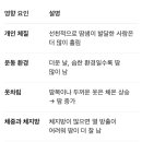 용호헬스사우나