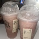 파티가는 댕댕이 이미지