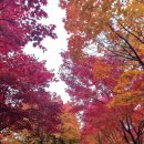 지에스(GS)25 계림푸른길점 이미지