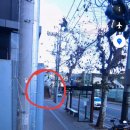 파스쿠찌 안양명학점 | [W4] 웨딩그룹위더스 안양 웨딩홀 메리엘홀 투어 후기 및 26년 하반기 견적 공유(계약O)