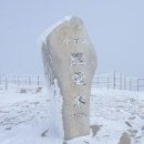 참석자명단 [291차] '23 1/14(토) 소백산 눈산행[베르멤] 이미지