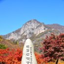백양사 이미지