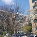 압구정-116 이미지