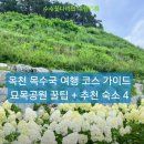 7월 옥천 여행 코스 | 묘목공원 목수국 명소 보고 머물기 좋은 숙소 BEST 4