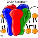 이현욱 정신건강의학과 의원 이미지