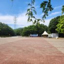 농암로(와룡면) 이미지