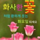 화요일 이미지