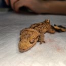 여울동물병원 이미지