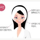 피부학개론