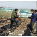 부영농장3 이미지