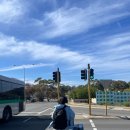 바오밥나무 | 호주 퍼스 2탄｜프리맨틀 → 퍼스 이동 / Mount Street Breakfast Bar / 킹스파크 자이언트 바오밥 나무