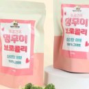 브로콜리 펫푸드 이미지