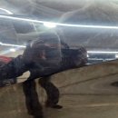 매직광택 | 쉐보레 트레일블레이저 광택,유리막코팅! 차가 다시 태어나는 곳~ 매직플러스 서대문구 도색