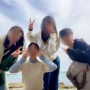 효곡동 행복 | [후기] 포항 꽃 구경 명소: 호미곶 유채꽃, 영일대 호수 벚꽃
