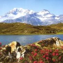 맑은 물, 깨끗한 지구 이미지