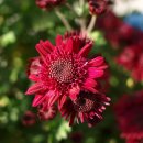 소풍노래연습장 이미지