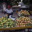 구아바쥬스