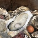 여수굴집상동점 | 부천 여수굴집 상동점 내돈내산 후기｜평일 웨이팅,굴찜 솔직 리뷰