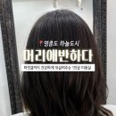 머리애봄헤어샵 네이버블로그