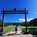 숲속의다향 | 서울근교 당일치기 여행 고양시 드라이브 조선왕릉 숲길 서오릉 힐링 산책