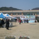 추풍령초등학교 이미지