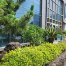 리시온관광호텔 이미지