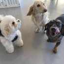 시흥유치원 이미지