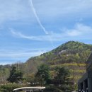 이쁘게 잘라줄개 | 이천 골프장 실크밸리cc 벚꽃라운딩 후기, 코스별 공략방법