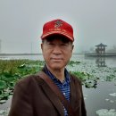 강화 가볼만한곳 교동 대룡리시장 외 여행 리스트