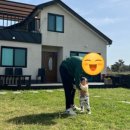 돌집 by 신대장 이미지