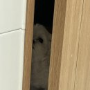 희동이의 하루 이미지