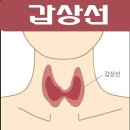 갑상선 좋은 정보, 하시모토 갑상선염과 면역 이미지