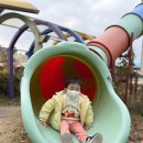 💙임실 119안전체험관💙 이미지