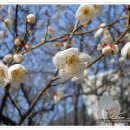 당간지주길 이미지