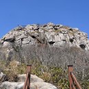 해남동물나라 이미지