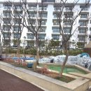 스파온 | 강원도 양양 애견동반숙소 양양더앤리조트 가든온 스파온 후기