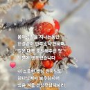 오늘의 명언(24/11/30) 이미지