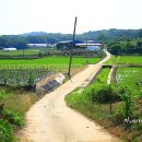 비콤목장 이미지