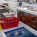 바다수산 이미지